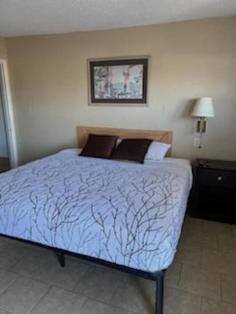 Budget Inn Decatur Priceville Kültér fotó